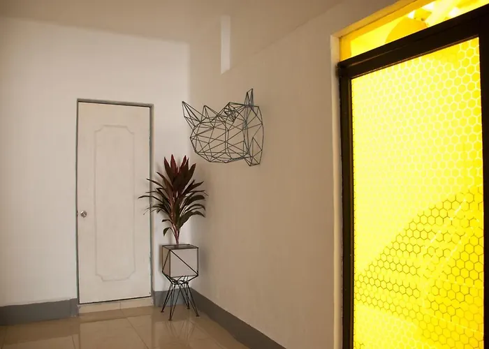 Hostel Wanderlust District Mexico City
